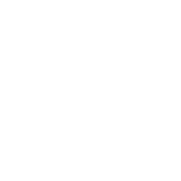 高度なレポートと分析